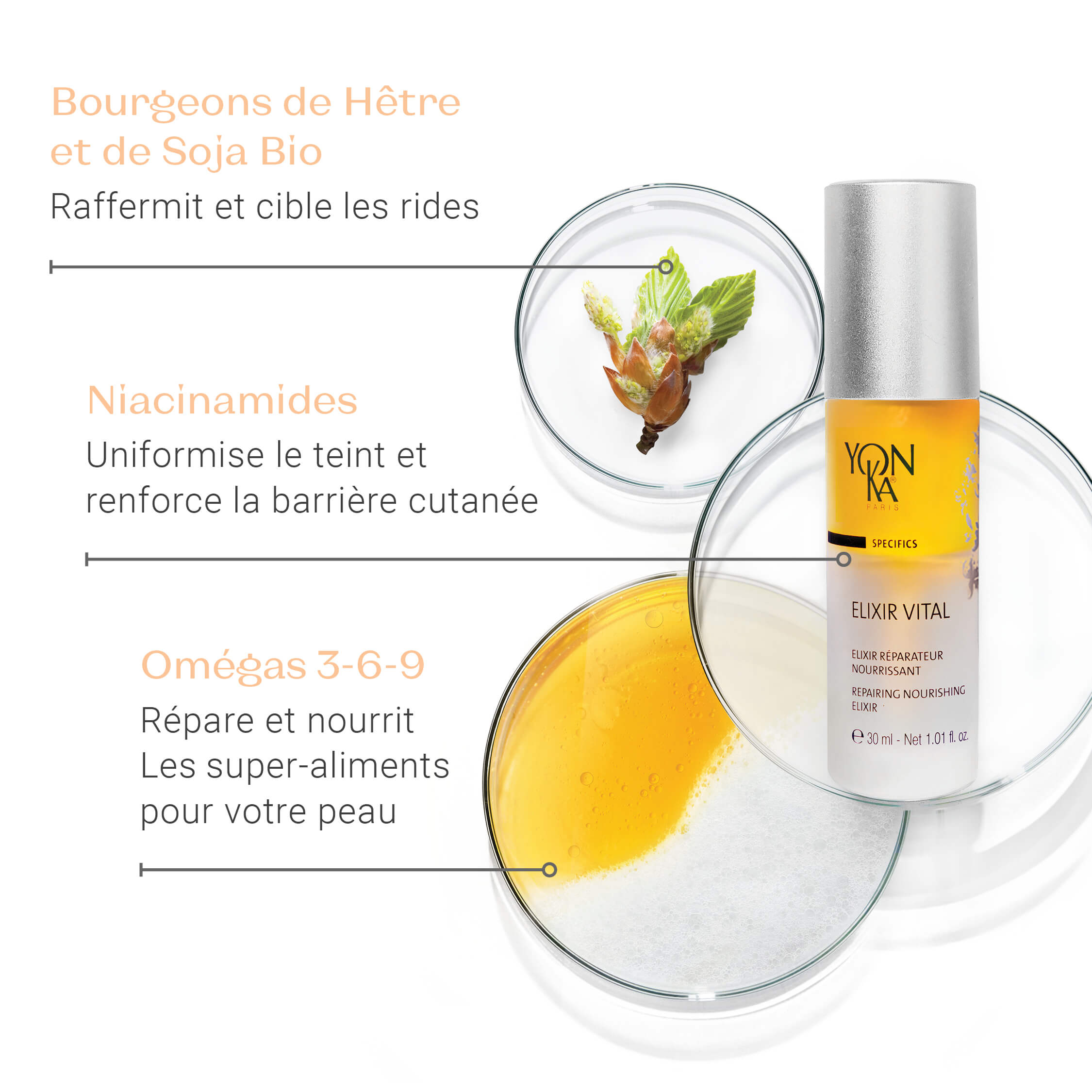 Elixir Vital – Anti-Aging Prevention & Repair