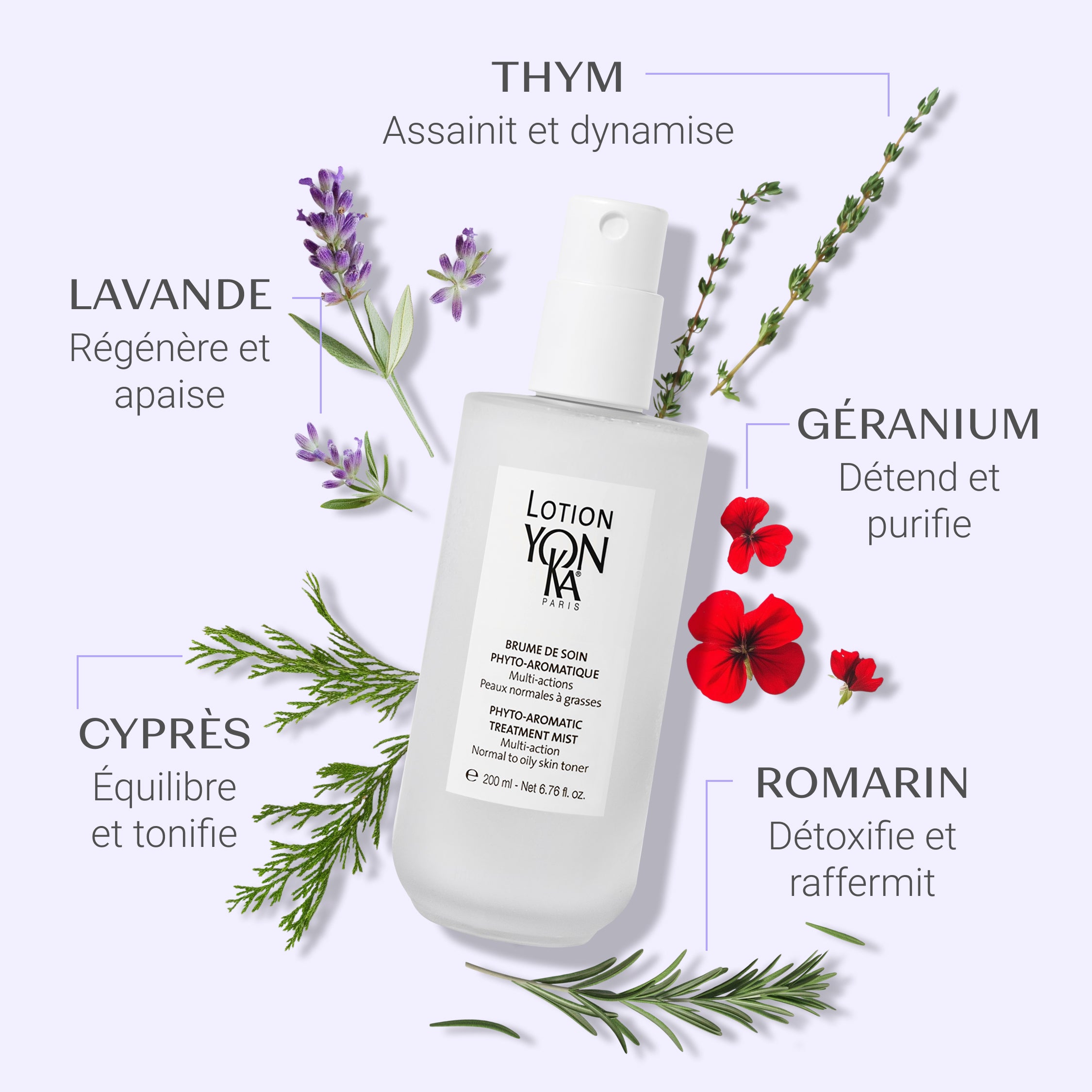 Lotion Yon-Ka Peau Normale à Grasse